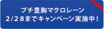 プチ豊胸マクロレーン2/28までキャンペーン実施中