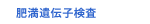 肥満遺伝子検査