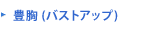 豊胸 (バストアップ)