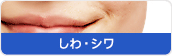 しわ・シワ