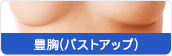 豊胸(バストアップ)