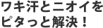 ワキ汗とニオイを
ピタっと解決!