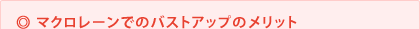 $B%^%/%m%l!<%s$G$N%P%9%H%