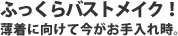 $B$U$C$/$i%P%9%H%a%$%/!*(B
$BGvCe$K8~$1$F:#$,$*<jF~$l;~!#(B