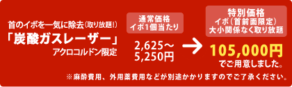 $B<s$N%$%\$r0l5$$K=|5n!J<h$jJ|Bj!*!K(B
$B!VC:;@%,%9%l!<%6!<!W(B
$B%