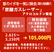 $B<s$N%$%\$r0l5$$K=|5n!J<h$jJ|Bj!*!K(B
$B!VC:;@%,%9%l!<%6!<!W(B
$B%
