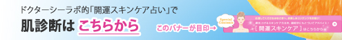 $B%I%/%?!<%7!<%i%\E*!V3+1?%9%-%s%1%