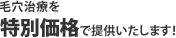 $BLS7j<#NE$r(B
$BFCJL2A3J$GDs6!$$$?$7$^$9!*(B