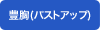 豊胸(バストアップ)