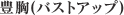 豊胸(バストアップ)