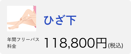 ひざ下 年間フリーパス 通常価格→145,800円　20％OFFで116,640円税込