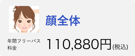 顔全体 年間フリーパス 通常価格→136,080円　20％OFFで108,864円税込