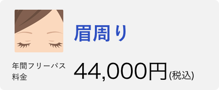 眉周り 年間フリーパス 通常価格→54,000円　20％OFFで43,200円税込