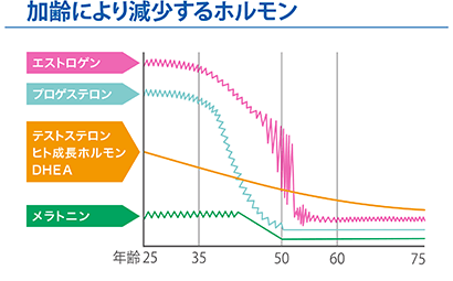 加齢により減少するホルモン