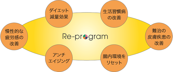 Re-program ダイエット減量効果　生活習慣病の改善 難治の皮膚疾患の改善 腸内環境をリセット アンチエイジング 慢性的な疲労感の改善