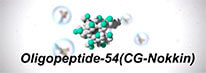 Oligopeptide-54（CG-Nokkin）