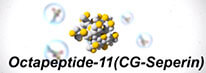 Octapeptide-11（CG-Seperin）