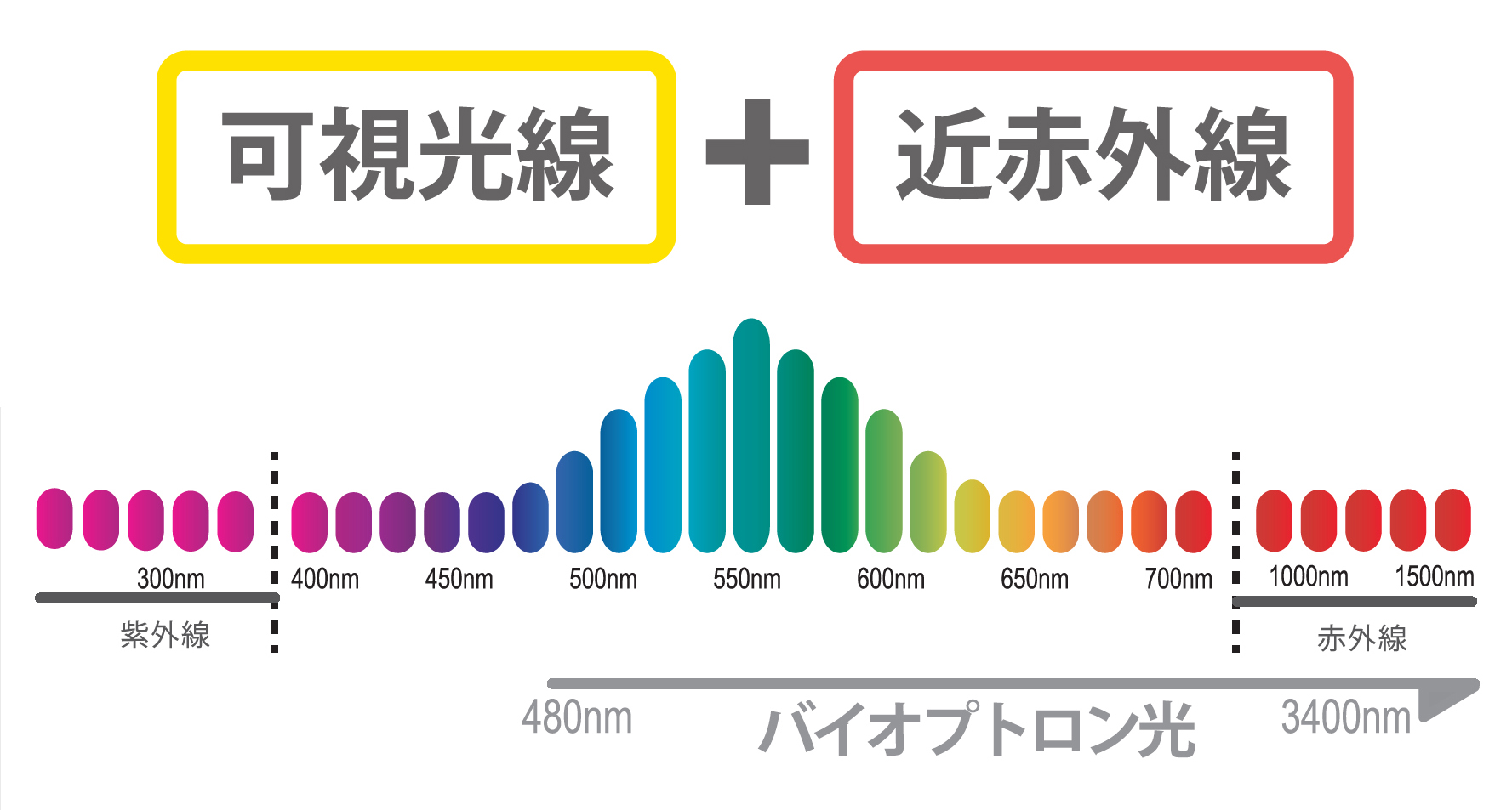 可視光線＋近赤外線