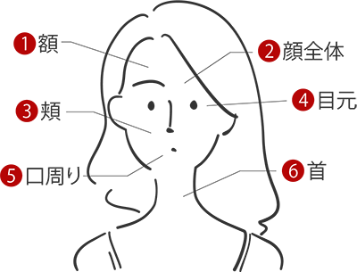 水光注射の施術可能箇所