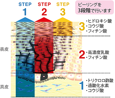 リバースピールの成分の画像