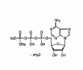 アデノシンリン酸二ナトリウム