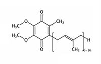 コエンザイムQ10