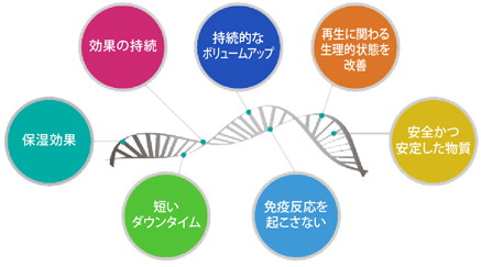 効果の持続　持続的なボリュームアップ　再生に関わる生理的状態を改善　安全かつ安定した物質　免疫反応を起こさない　短いダウンタイム　保湿効果