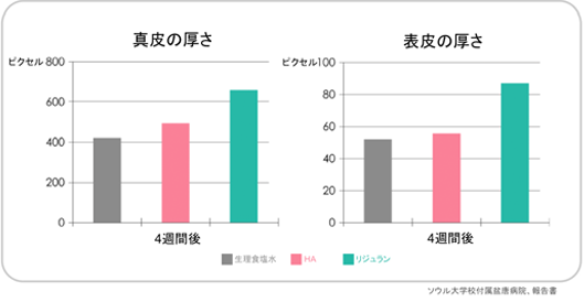 真皮の厚さ・表皮の厚さ