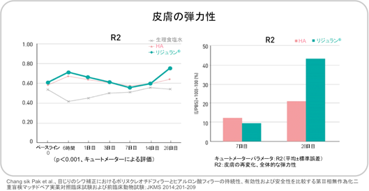 皮膚の弾力性