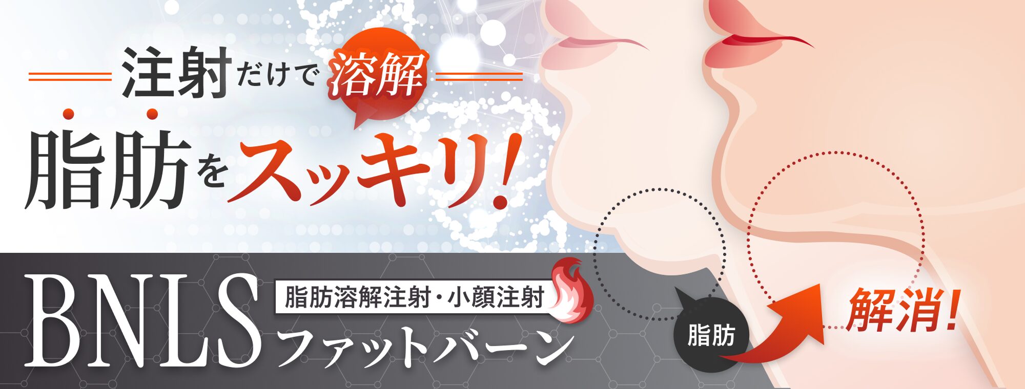 注射だけで脂肪をスッキリ撃退！BNLSファットバーン