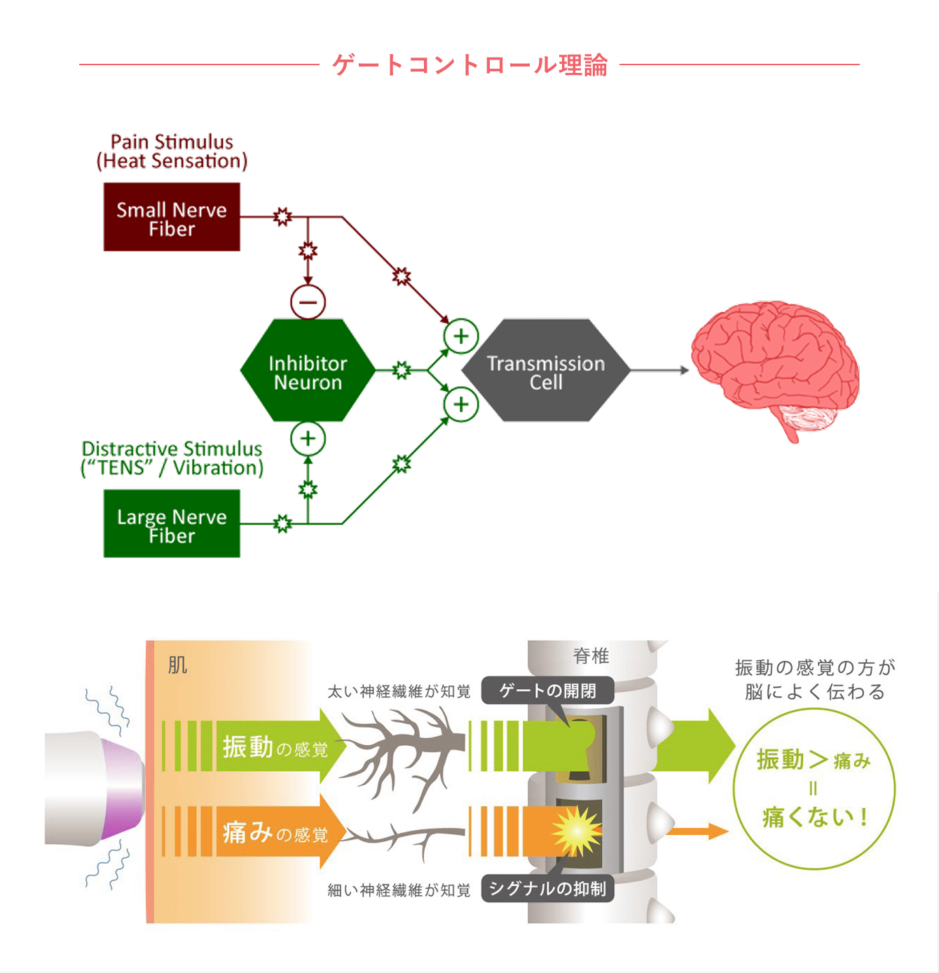 ゲートコントロール理論