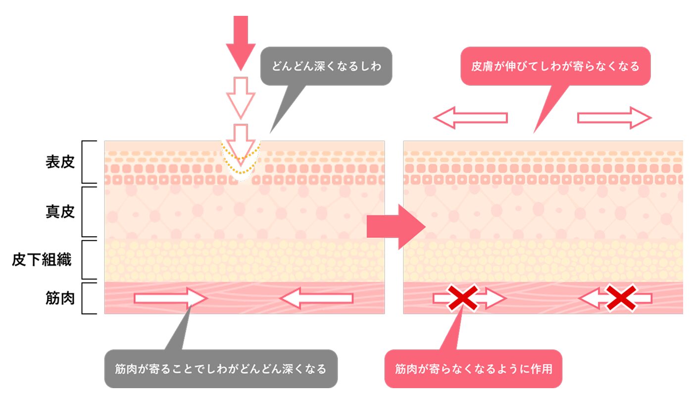 肌の変化